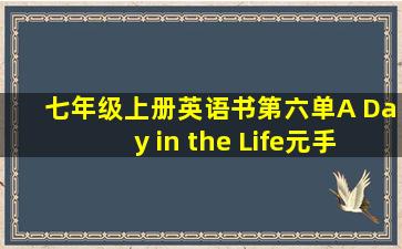 七年级上册英语书第六单A Day in the Life元手抄报